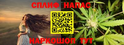 Альфа ПВП Новозыбков