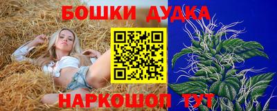 Альфа ПВП Новозыбков