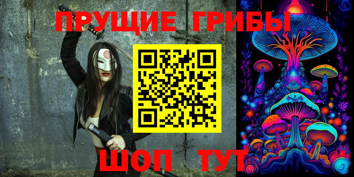 Галлюциногенные грибы MAGIC MUSHROOMS  Вход с VPN  Тулун  даркнет сайт  Псилоцибиновые грибы GOLDEN TEACHER 