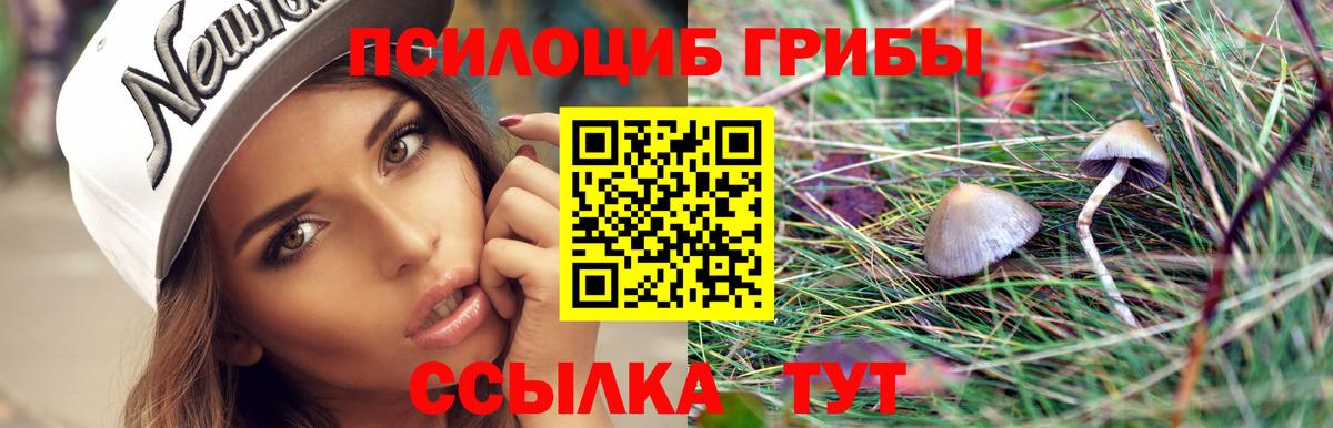 Галлюциногенные грибы мухоморы Тулун